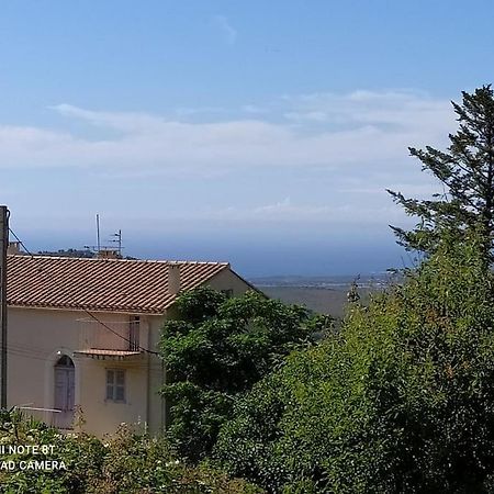 Duplex Avec Jardin, Proche Village Calenzana Εξωτερικό φωτογραφία