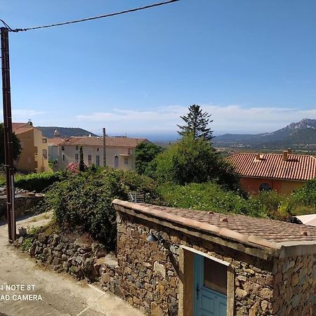 Duplex Avec Jardin, Proche Village Calenzana Εξωτερικό φωτογραφία